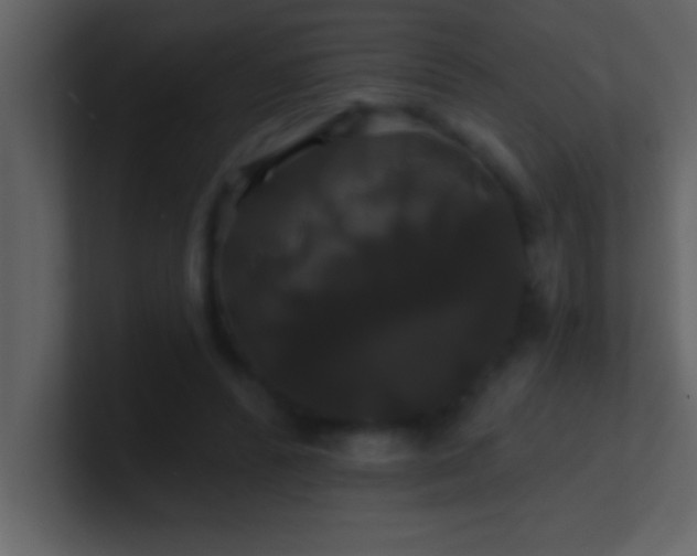 X0000100920400200807081155