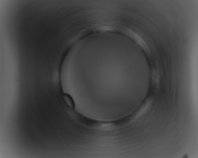 X0000100920401200807081155