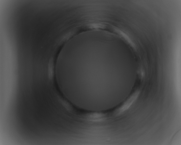 X0000100920402200807081155