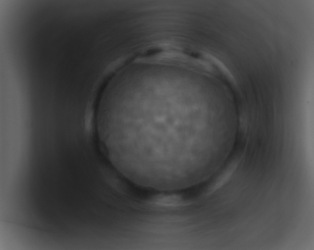 X0000100920403200807081155