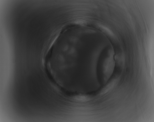 X0000100920404200807081155