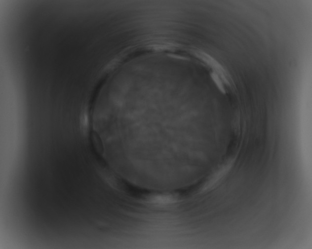 X0000100920405200807081155