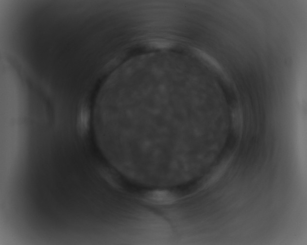 X0000100920406200807081155