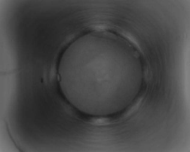 X0000100920407200807081155