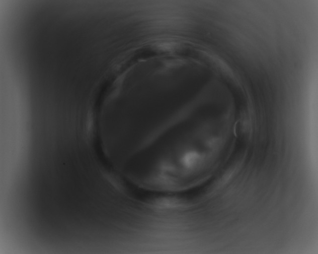 X0000100920408200807081155