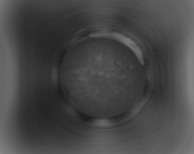 X0000100920409200807081155