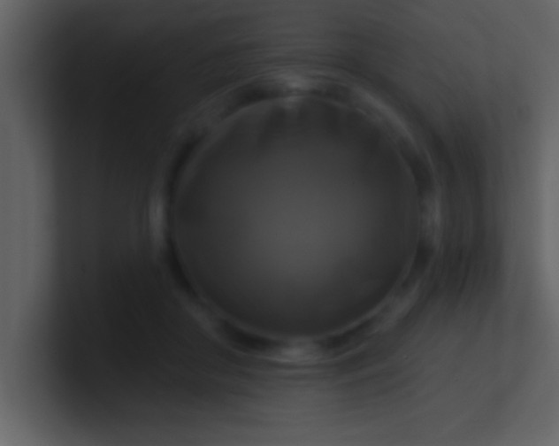 X0000100920410200807081155