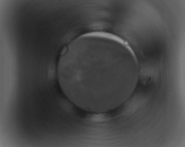 X0000100920411200807081155