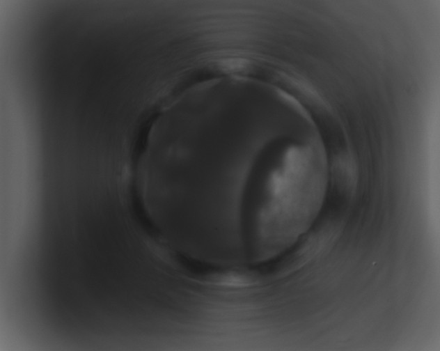 X0000100920412200807081155