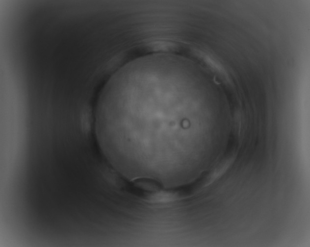 X0000100920413200807081155