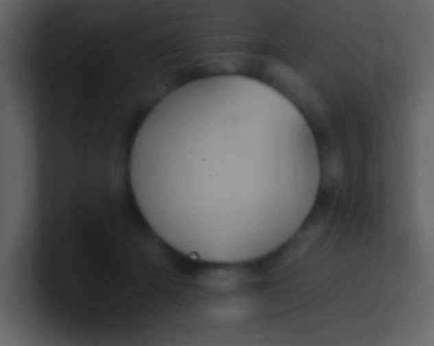 X0000100920414200807081155