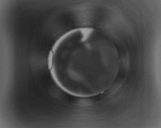 X0000100920415200807081155