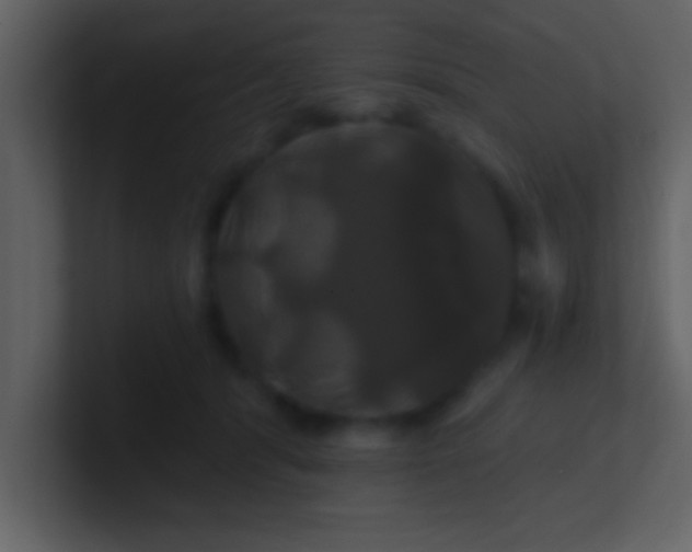 X0000100920416200807081155