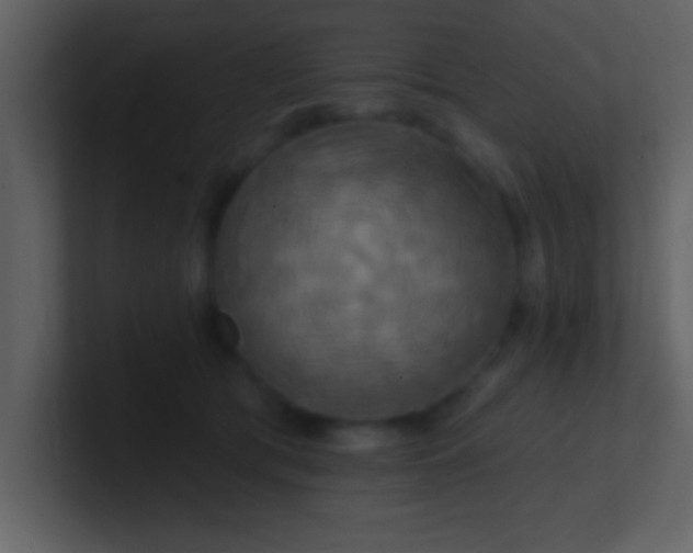 X0000100920417200807081155