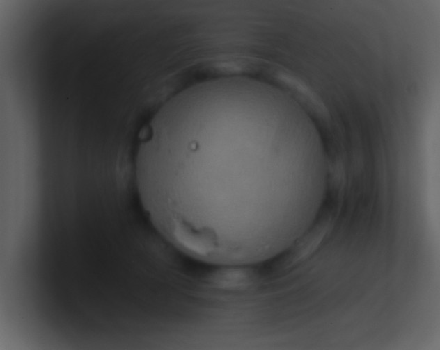 X0000100920418200807081155