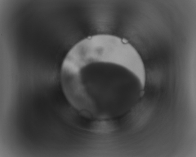 X0000100920419200807081155