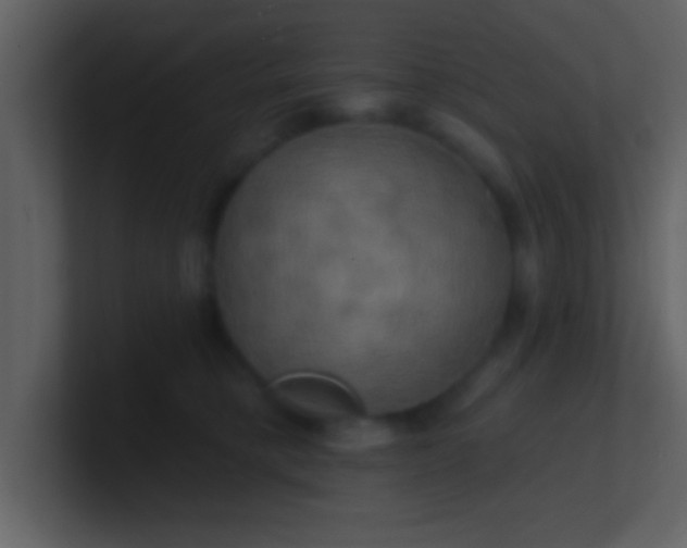 X0000100920421200807081155