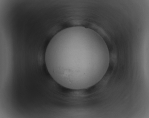 X0000100920422200807081155