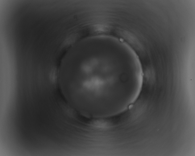 X0000100920423200807081155