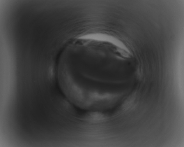 X0000100920424200807081155