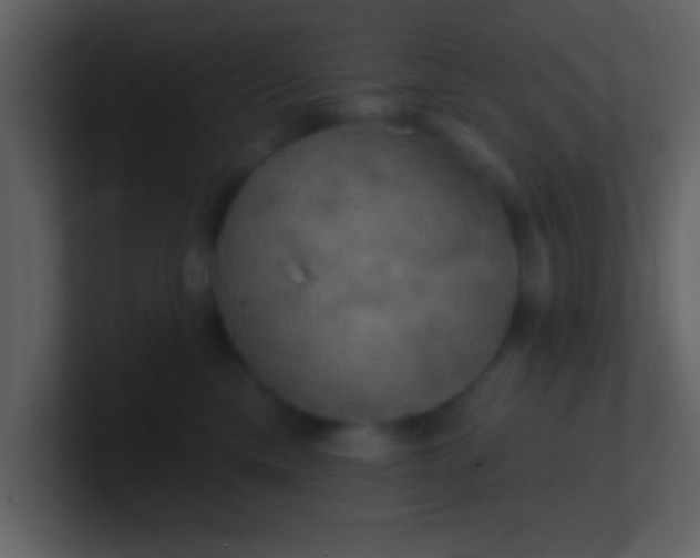 X0000100920425200807081155