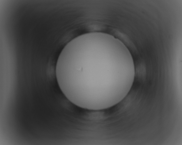 X0000100920426200807081155