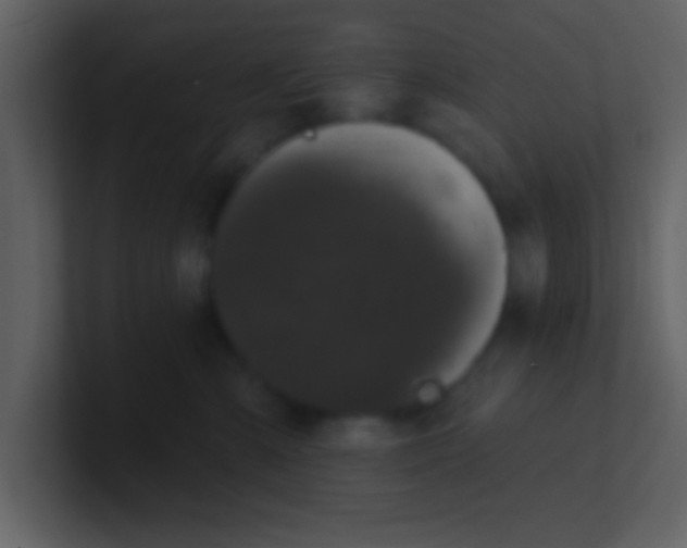 X0000100920427200807081155