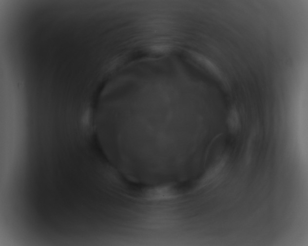 X0000100920428200807081155