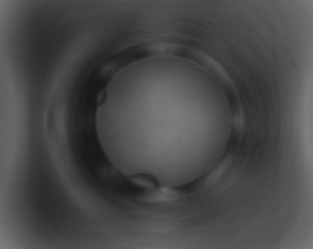 X0000100920429200807081155