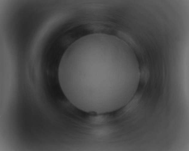 X0000100920430200807081155