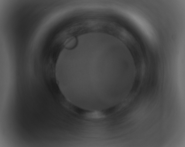 X0000100920431200807081155