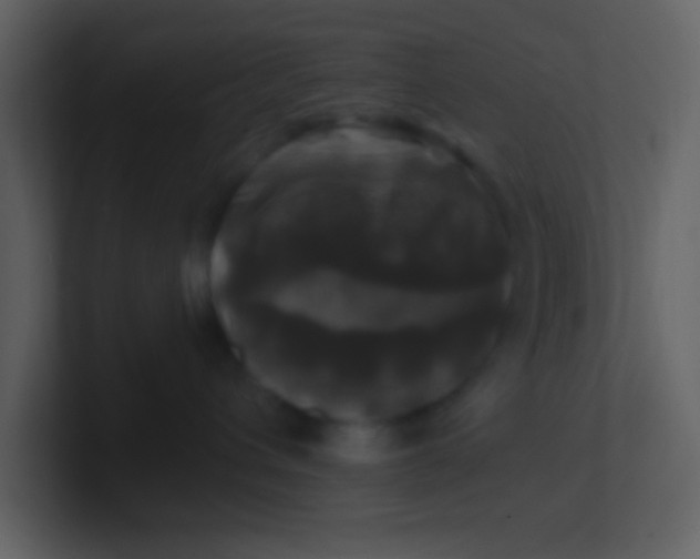 X0000100920432200807081155