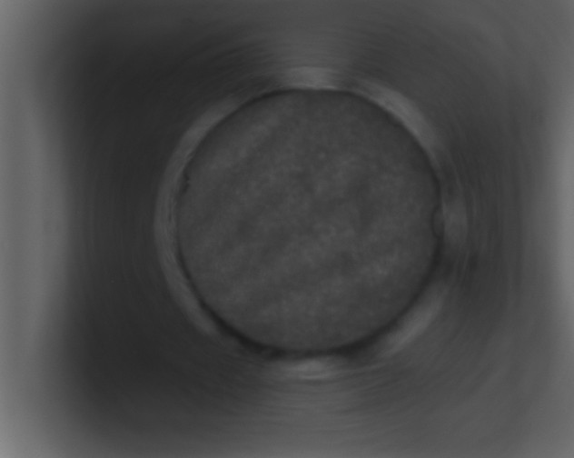 X0000100920433200807081154