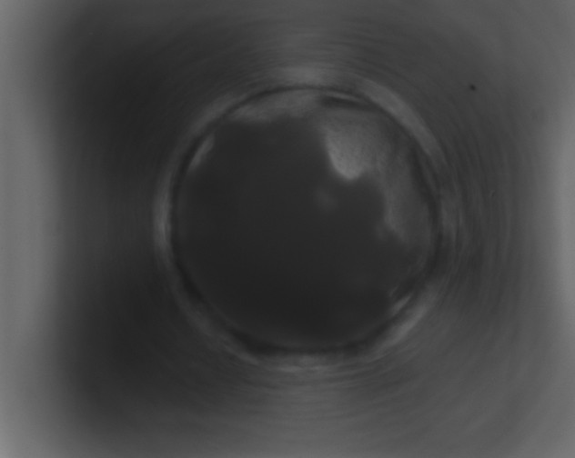 X0000100920434200807081154