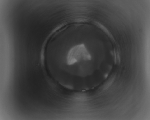 X0000100920435200807081154