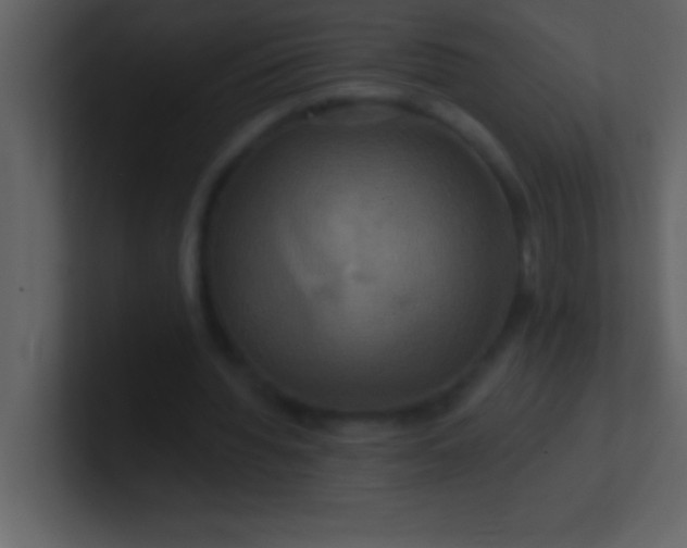 X0000100920436200807081154