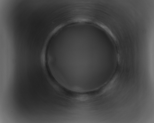 X0000100920438200807081154