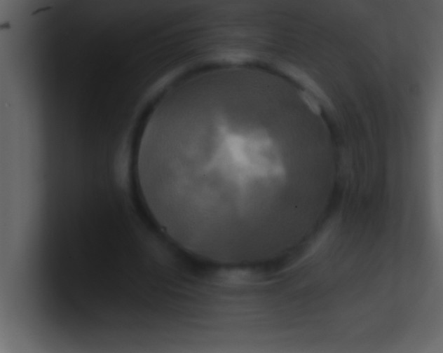 X0000100920440200807081154