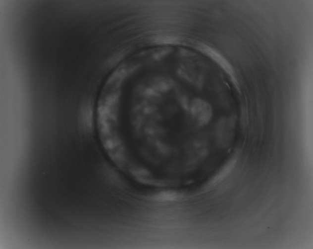 X0000100920441200807081154