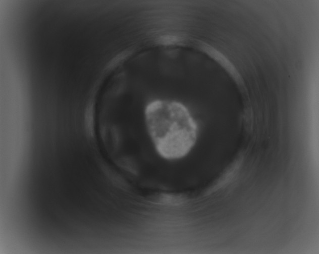 X0000100920442200807081154