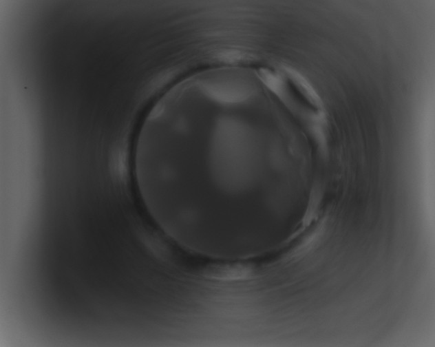 X0000100920443200807081154