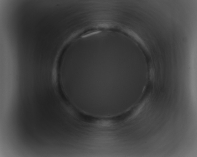 X0000100920444200807081154