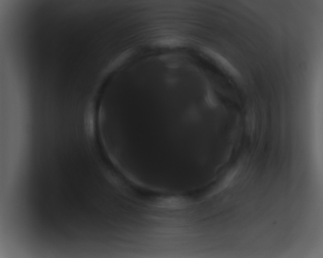 X0000100920446200807081154