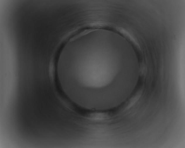 X0000100920448200807081154