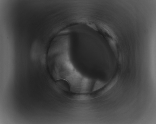 X0000100920449200807081155