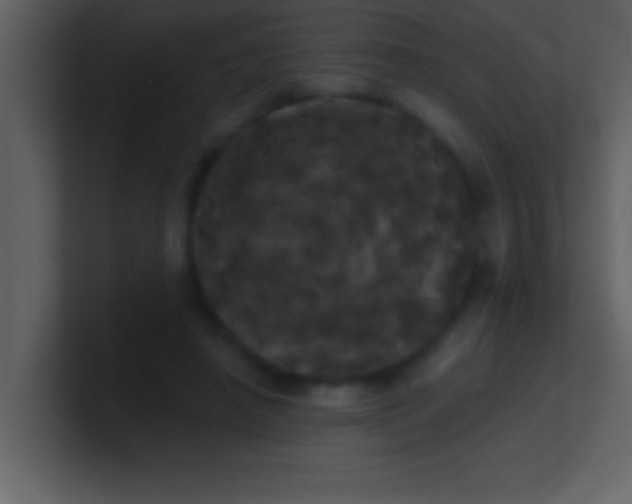 X0000100920450200807081155