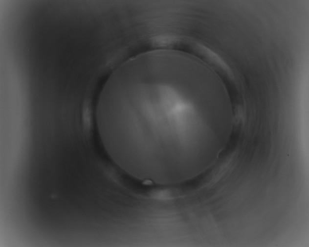 X0000100920452200807081155