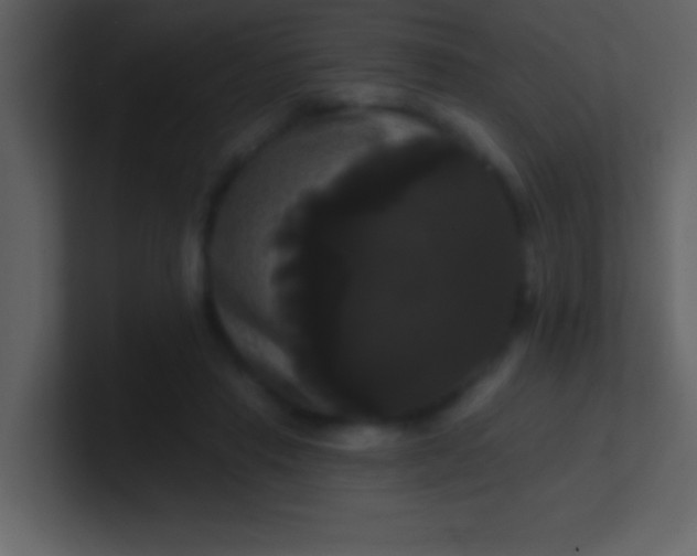 X0000100920453200807081155