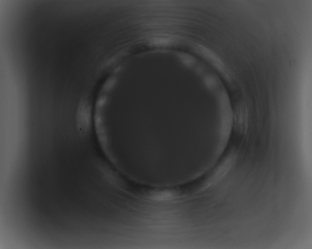 X0000100920454200807081155