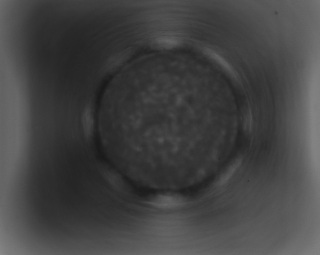 X0000100920455200807081155